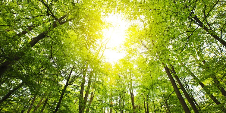 Environmental awareness